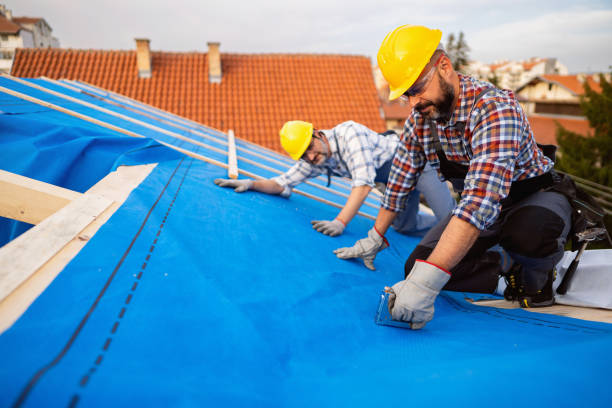 Professional Roofing in Menahga, MN